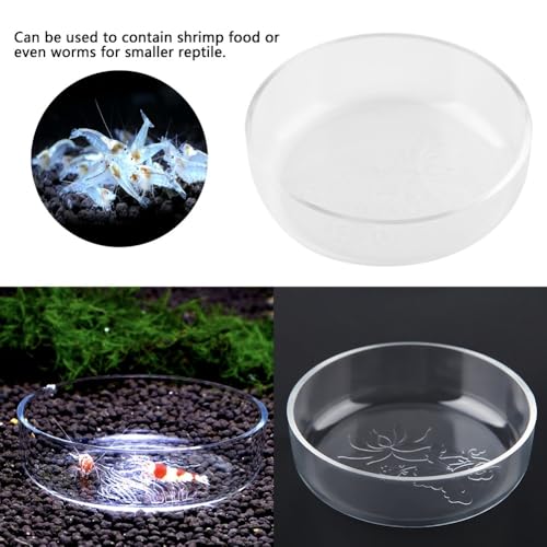 Acrylic Shrimp Feeding Dish – Flower Design Aquarium Food Bowl for Small Reptiles, Easy Clean Fish Tank Feeder Tray