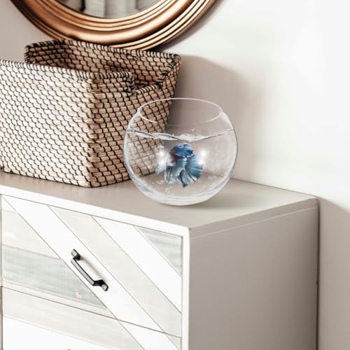 Baluue Round Glass Fish Bowl 5.90In Clear Bubble Vase Terrarium Planter for Hydroponic Plants Flower Display Home Office Decor Compact Size - size: 15.00X15.00X10.00CM