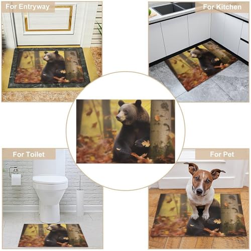 Outdoor Door Mat 15.7" X 23.6" Non-Slip Doormat Autumn Animals Front Door Mats Quick Dry Welcome Mats for Outdoor Indoor Entrance Mat Home Decor Floor Mats for Patio - color: Autumn Animals