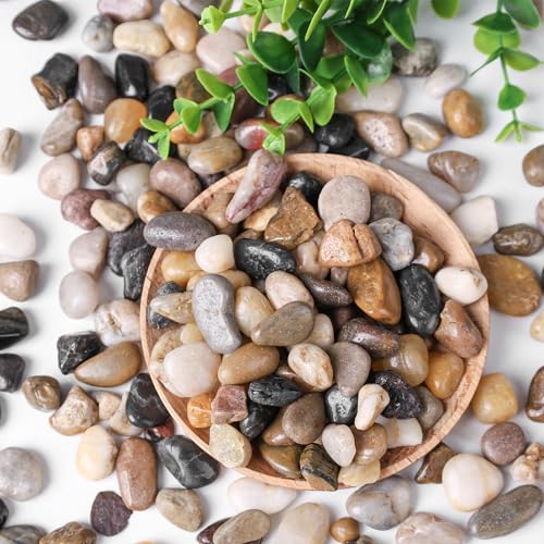 DomeStar River Rocks for Landscaping, 2lb Decorative Ornamental Pebbles Garden Landscaping Stones Gravel for Vases Fish Tank Succulent Potted Indoor Plants Crafts Home Garden Decor