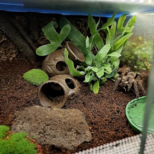 Ceramic Shelters, 2 pcs, Fish Tank Accessories, Fish House, Swim Holes Aquatic, Aquarium Cave for Freshwater and Saltwater Fish Tank, Pets to Breed, Play and Rest Decor (Pot)