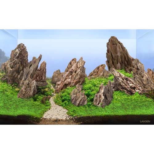 LANDEN Natural Dragon Stones (16lbs, 2~8 inches,7-8pcs) for Aquascaping Terrariums, Paludariums,Vivariums, Reptile and Amphibian Enclosures - size: 01 Dragon(Ohko) Stone(2-8inch,16lbs)