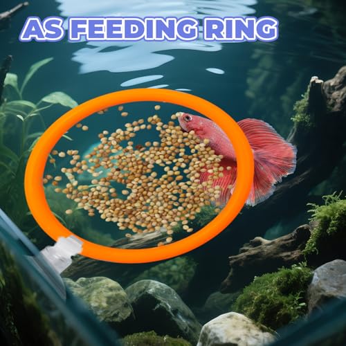 Beta Fish Aquariums Accessories, 1 Fish Mirror with Floating Ball & 2 Exercise Training Ring Toys, Fish Feeding Ring, Betta Fish Toys Set for Tank, Enrichment Toys for Fish - color: orange ring