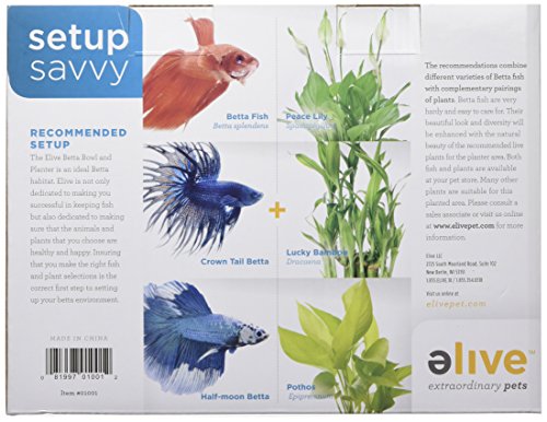 Elive Betta Fish Bowl / Betta Fish Tank with Planter, Small 0.75 Gallon Aquarium, LED Light Timer, Black
