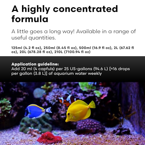 Brightwell Aquatics MicroBacter Clean - Microbial Culture & Enzyme Blend Fish Tank Cleaner - Cleans Live Rock Surfaces for Saltwater Fish Habitats - Aquarium Water Treatments, 33.8 fl oz - size: 1-L