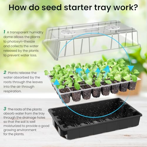 MIXC Seed Starter Tray with Lights, 2 Packs Mini Propagator Plant Grow Kit Greenhouse with Humidity Vented Domes and Base for Seeds Starting, Black - color: Black, size: 40-Cell 2-Pack With Light