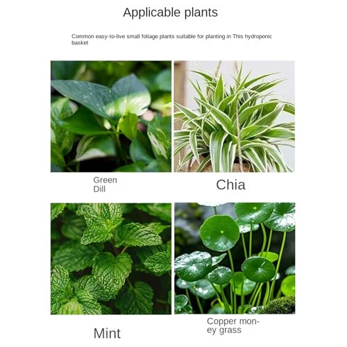 Hydroponic Plant Holder – Transparent Double-Hook Aquarium Holder, Adjustable Acrylic Aquatic Plant Planter, Durable Plants Rest, Underwater Vine Moss Decoration for Aquarium Corner - size: Single cell