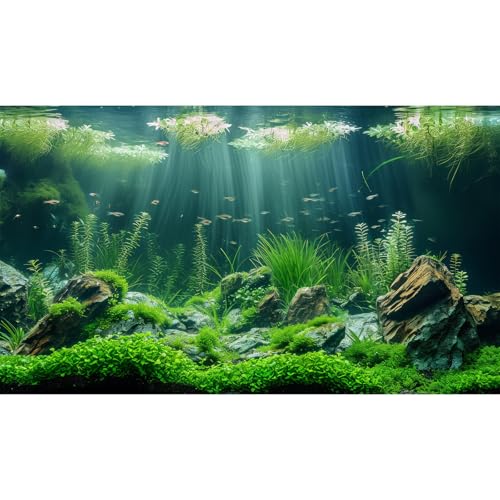 Underwater Aquatic Seagrass Aquarium Background Under The Sea Grass Leaves Lush Green Moss Fish Tank Background Deep Sea Rock Cork with Foggy Misty Sunbeams Terrarium Backgrounds Wallpaper 48x20in - size: 48(W)x20(H)inches/ 120(W)*50cm(H)