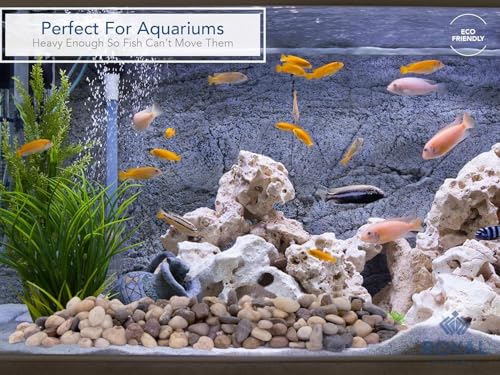 River Rocks Decorative Ornamental Vase Filler 1"-1.5" Natural Aquarium Gravel 2 lbs - Landscaping Pebbles for Indoor Plants, Fish Tank Gravel, Terrarium& Home Decor, DIY & Crafting – Royal Imports - size: 1"- 1.5" - 2 lbs, style: Natural