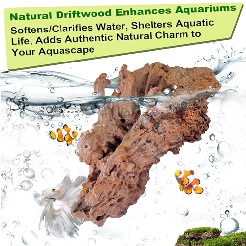 Natural Driftwood for Aquarium Decor,Reptile Habitat&Home DIY Decor,Naturally Unique Shapes Weathered Wood,Easy to Use (M-(10-12 Inch/1.5-2.2 Lbs)-Pack of 1) - color: M-(10-12 Inch/1.5-2.2 Lbs)-Pack of 1