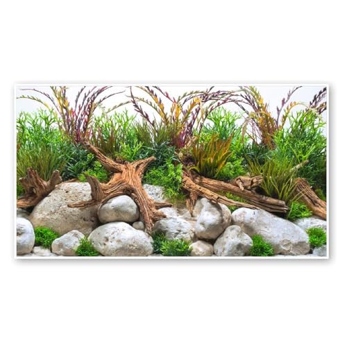 wave Double Background River Blister, 30 X 60 cm