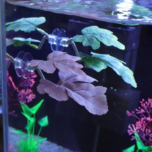 JJLFresheners Betta Fish Leaf Pad,Plastic Plant Betta Hammock Leaf Bed,Simulating The Natural Habitat for Betta Spawning Grounds,Suction Cup Betta Breeding Resting Bed Aquarium Décor Plastic Plants