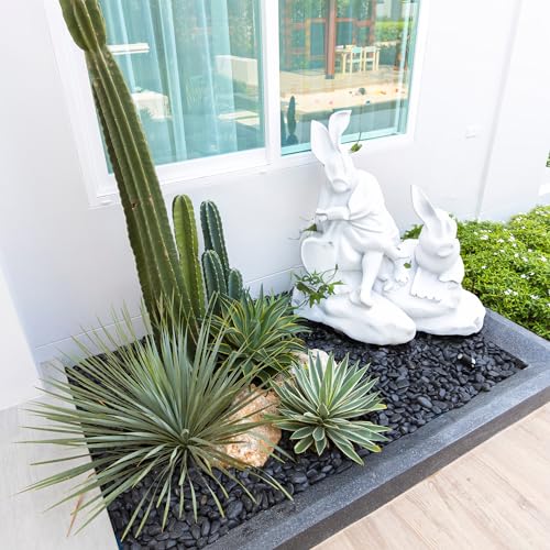 5lbs Black Pebbles for Indoor Plants, 1-2Inch Natural River Rocks for Aquarium, High Polished Decorative Stones for Vase Filler Fish Tank Landscaping Garden - color: Black, size: 5 Pounds