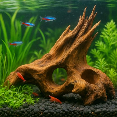 emours Porous Natural Driftwood for Aquarium, Aquascaping Driftwood with Holes, Hand-Selected Tunnels & Hideouts, Aquascaping Hardscape, Terrarium Reptile Décor, No Paint or Resin (8-12" (20-30 cm)) - size: 8-12" (20-30 cm)