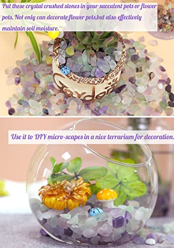 Fluorite Aquarium Gravel Rocks Natural Tumbled Healing Crystal Chips Bulk Gemstones Tumbled Crushed Stones for Fountain Vase Filler Planters Decorative Fish Tank Potted Reiki Energy Balancing 0.44lb - color: 1-fluorite, size: 0.44 Pound