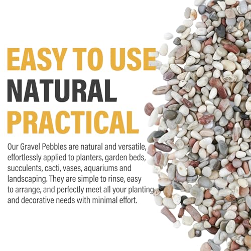 18lb Succulent and Cactus Gravel Pebbles, 1/5 Inch Mixed Color Natural Rocks for Fish Tank, Indoor Plants, Aquarium, Vases, Landscaping - color: AK Stones, size: 18lb
