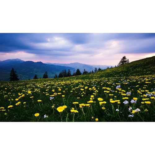 Mountains Pine Trees Aquarium Background Sunset Yellow Flowers Fish Tank Background Fantastic Spruces Natural Landscape Terrarium Backgrounds Lush Wildflowers Meadow Reptile Tank Backgrounds 24x12in - color: Green_Yellow, size: 24(W)x12(H)inches/ 60(W)*30