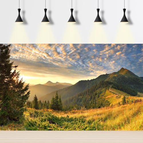 Sunset Mountain Landscape Aquarium Background Panoramic Mountain Valley Fish Tank Background Majestic Cloudy Blue Sky Pine Forest Terrarium Backgrounds Foggy Woodland Reptile Tank Backgrounds 24x12in - color: Brown_Green, size: 24(W)x12(H)in
