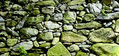 Moss Stone Aquarium Background Poster HD Fish Tank Decorations Landscape (36" x 12"/ 91 x 30cm) - size: 36" x 12"/ 91 x 30cm