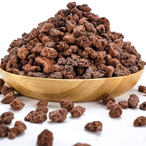 TOYPOPOR 6lb Red Lava Rocks Soil for Plants, Bonsai Cacti Succulents Horticultural Stones, Natural Decorative Volcanic Drainage Gravel for Vase Fillers, Terrarium, Top Dressing, Landscaping, Gardening - color: Horticultural Lava Rock, size: 6 lb