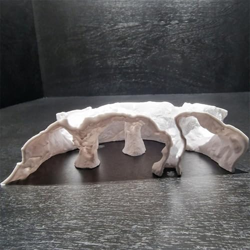 Natural Textured Shrimp Cave Ornament with Observation Holes, Safe Hideaway for Territorial Fish Species Fish Hiding House