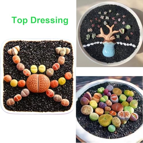 Boniosz 5lb Succulents and Cactus Black Sand, Décor & Additive Tiny Stones,DIY Rocks Gravel for Bonsai, Fairy Gardening, Terrarium, Vases Fillers - color: Black Sand, size: 5lb