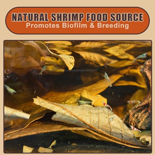 Indian Almond Leaves for Betta Fish,20Pcs Catappa,60Pcs Longan & 0.7oz Oak Leaves,Aquarium Water Conditioner Leaf,pH Balancing Water Conditioner Leaf for Betta Fish,Shrimp,Frogs,Axolotl Tanks