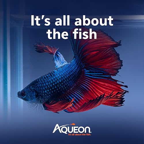 Aqueon PURE Betta Beads, Water Care for Unfiltered Aquariums, Maintains Clear Water and Helps Breakdown Organic Sludge, Blue
