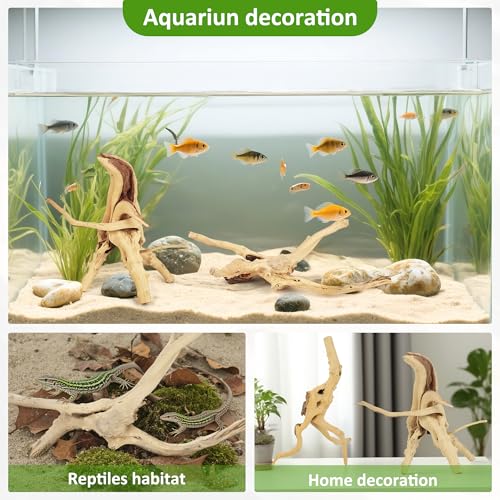 8 Pcs Natural Spider Woods, 4-8 Inch Small Driftwood Branches, Aquarium Driftwood for Reptile Fish Tank Decorations
