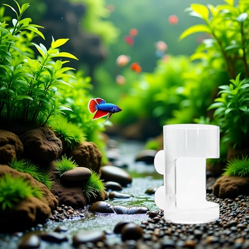 Clear Betta Fish Feeder - Fish Feeding Tube, Shrimp Feeding Dish, Betta Feeders with Suction Cup, Transparent Aquarium Feeders Bird Feeder, Fishs Tank Accessories
