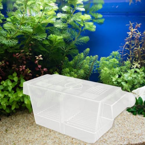 Multipurpose Fish Isolation Tanks with Strong Suction Cup for Aggressive Injured Pregnant and Fry Protections 2PCS Aquarium Isolation Divider - color: Late double room