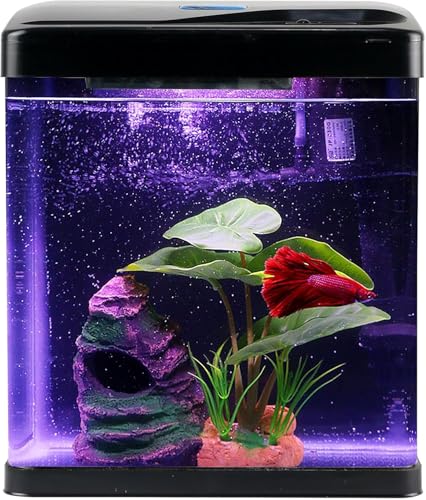Betta Fish Tank Self Cleaning 2 Gallon Small Aquarium Starter Kits Desktop Room Decor w/LED Light Decorations & Whisper Filters Water Pump (260V2) - size: 260b