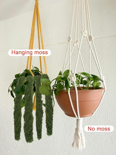 5.3oz Green Fake Moss Artificial Floral Moss Faux Plant for DIY Crafts Fairy Garden Pot Filler Vase Greenery Decorating Project Indoor Model Making Walls Glass Decor Forlaoers