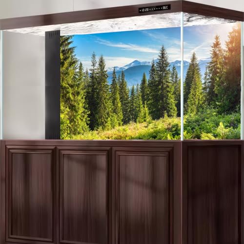 Majestic Mountain Forest Aquarium Background Scenic Evergreen spruce coniferous trees Fish Tank Background High mountains Pine Tree Terrarium Backgrounds Green Meadows Reptile Tank Backgrounds 24x16in - color: Jade Green, size: 24(W)x16(H)in