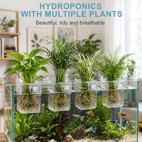 12 Pack Clear Aquarium Plant Holder Top Hanging for Fish Tank, Aquariums Planter Basket Pots for Aquatic Plants