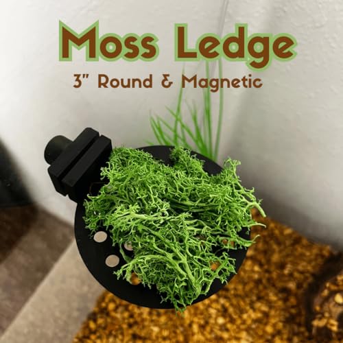 Chatelet REEFSHAPE Aquarium Moss Ledge | Attachable Moss or Plant Ledge for Fish Tanks | Platform for Aquatic Plants | Made in USA (3", Green) - color: 3", Green