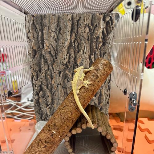 2PCS Reptile Cork Bark Background,15.74 x 11.81 Inch Natural Cork Wood Terrarium Background Bearded Dragon Tank Bark Backdrop Wall Decor for Lizard Gecko Chameleon Tortoise Snake Spider Frog - size: 【15.74 x 11.81 In】
