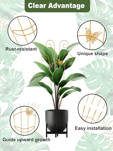 4Pcs Indoor Plant Trellis for Potted Plants, 30" Taller Expandable Garden Metal Trellis for Climbing Plants Outdoor, Houseplant Support Stakes for Ivy Pothos Hoya Flower (Gold) - color: Black-NEW