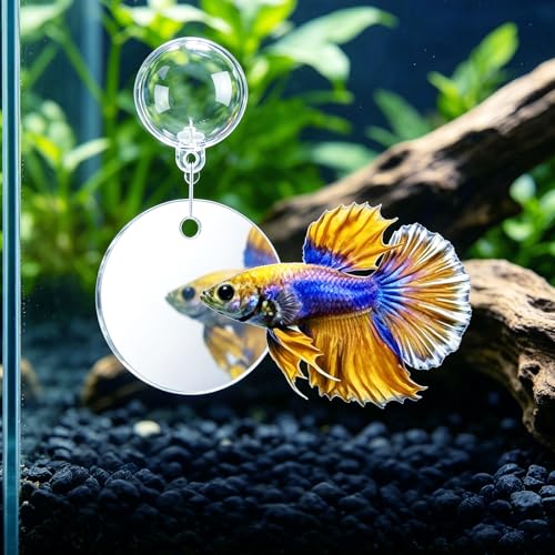 5 Pcs Betta Fish Hammock & Toys Set - Aquarium Tunnel, Floating Mirror, Hammock, Leaf Pad & Exercise Ring, Safe Resting, Hiding & Feeding Decor for Shrimp & Small Fish Tanks