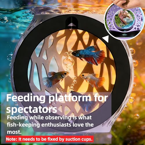 Floating Betta Hideout Cave & Shrimp Cave | Aquarium Floating Betta Skin | Shrimp Feeder | Multi-Function Resting Hideout Hammock & Small Fish Feeding Ring | Aquarium Decor Accessory(Grey) - color: Grey