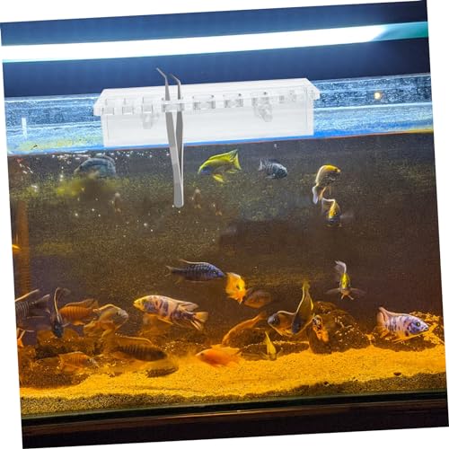 Mipcase Aquarium Tool Holder Wall-Mounted Storage Rack for Fish Tank Maintenance Organizes Scissors Tweezers Tongs Scrapers Lightweight Design for Aquascaping