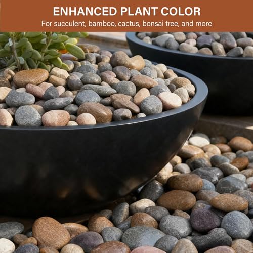 NUPICK 30lb Mexican Beach Pebbles, 2-3" Large River Rocks for Landscaping, Smooth Garden Rocks for Outdoor Paving, Natural Pebbles for Indoor Plants, Decorative Stones for Planters, Fish Tank, Fountai - color: Mixed, size: 2-3", 30lb