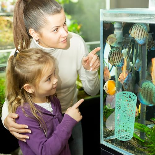 3 Pcs Betta Tunnel Hammock, Betta Fish Toys, Fish Tank Accessories with Suction Cups for Small Fishes and Shrimps, Aquarium Decor, Suit Hideout and Play Area (Black, Green, Rose Red)