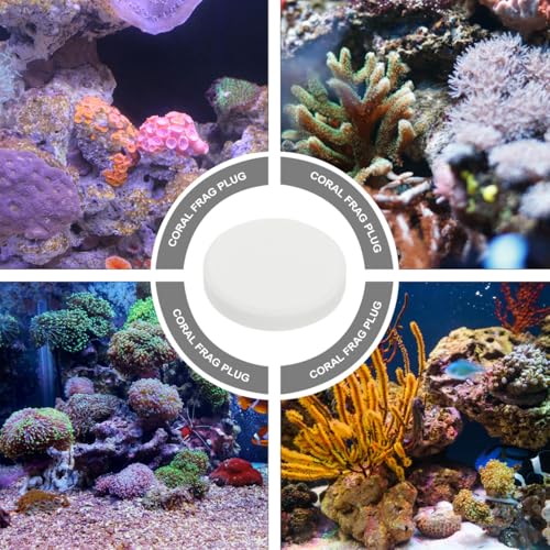 10pcs Fish Tank Coral Base Terrarium Cave Sand Stand Coral Breeding Bases Gasket Large Fish Tank Ornaments Gel Pad Coralline Serving Tray Round Conch Siphon Ceramics