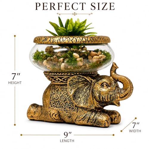 Good Luck Elephant Terrarium Bowl – Antique Gold Elephant Figurine with Removable Glass Bowl, Succulent Planter, Candle Holder, Air Plant Display & Zen Home Décor Accent