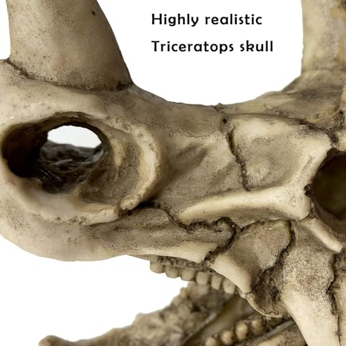 kathson Large Resin Dinosaur Triceratops Skull Décor Aquarium Decoration Reptiles Hideout Fish Tank Ornament Home Landscape Decor - style: Triceratops Skull