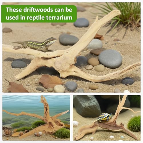 8 Pcs Natural Spider Woods, 4-8 Inch Small Driftwood Branches, Aquarium Driftwood for Reptile Fish Tank Decorations
