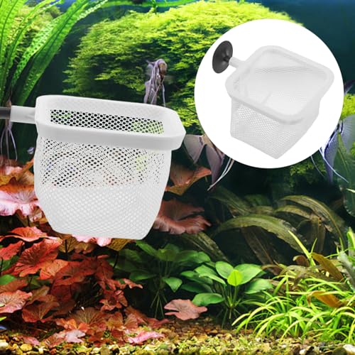 Totority Fish Tank Breeder Net with Suction Cups Durable Isolation Box for Shrimp and Betta Fish Easy Installation and Cleaning Spawning and Protection of Newborns