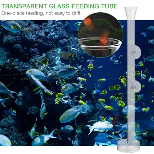 Glass Fish Feeder Tube with Shrimp Feeding Dish 40cm Aquarium Fish Tank Supplies for Shrimp
