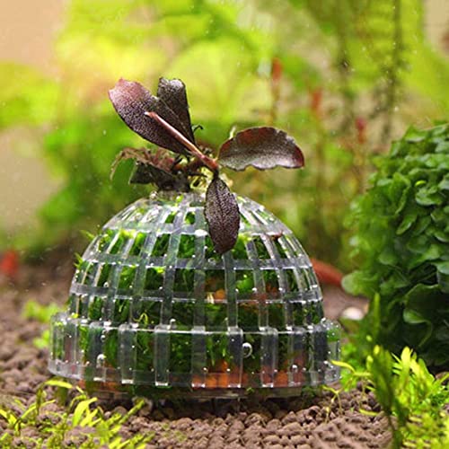 2PCS Aquarium Moss Ball Holder, Aquarium Landscaping Plants Holder Fish Tank Decoration for Aquarium Fish Tank